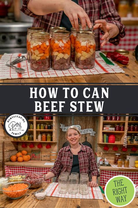 Canned Beef Stew Artofit