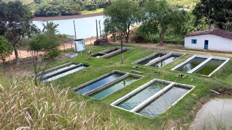 Tipos De Tanque Para Piscicultura Veja As Diferen As Instrusul