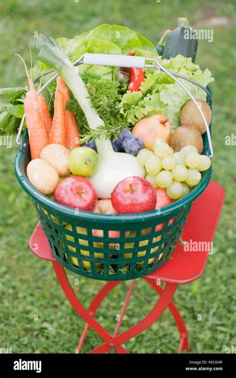 basket  fresh fruit  vegetables   garden table stock photo