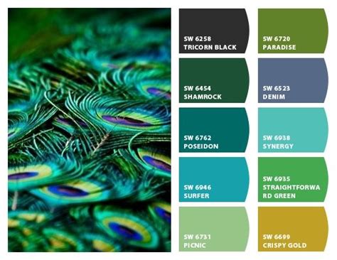 Peacock Blue Color Chart