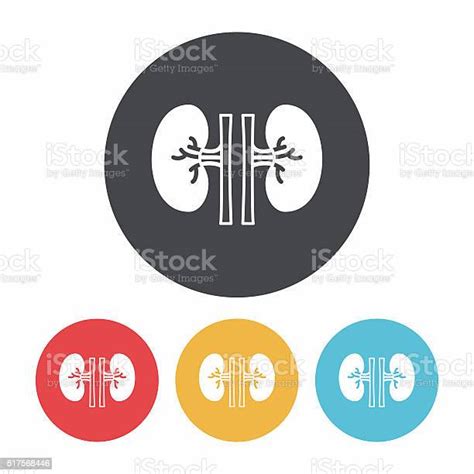 신장 아이콘크기 건강관리와 의술에 대한 스톡 벡터 아트 및 기타 이미지 건강관리와 의술 과학 내부 Istock