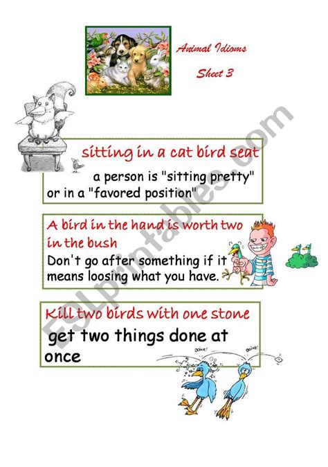 Animal Idioms 3 - ESL worksheet by leilaftouni