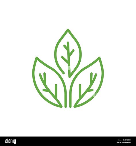 Green Leaf Ecology Nature Element Vector Icon Leaf Linear Icon Green Leaf Ecology Nature