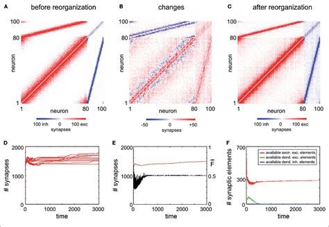 Figure 1 From COMPUTATIONAL NEUROSCIENCE ORIGINAL RESEARCH ARTICLE