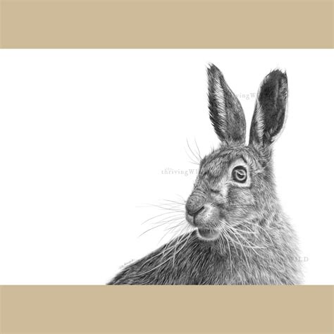 March Hare Art Prints | Free Worldwide Shipping! — TheThrivingWild