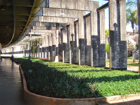 Universidad De Brasilia Instituto Central De Ciencias Minhoc O Oscar