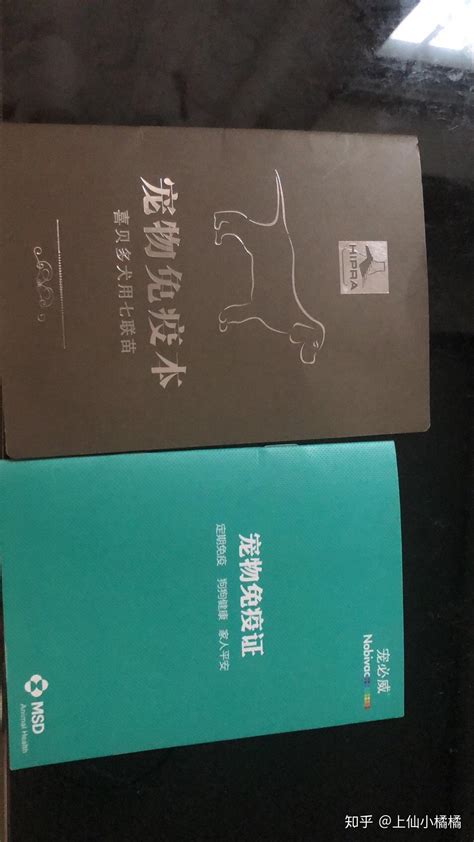 养一只金毛，一个月要花费多少钱 知乎