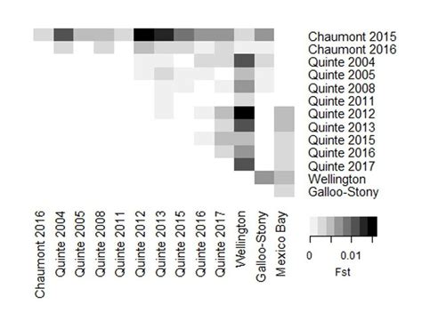 Heat Map Of Pairwise Fst Values For All Lake Ontario Cisco Samples