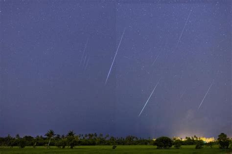 Gran Expectativa Ante Lluvia De Estrellas Le Nidas