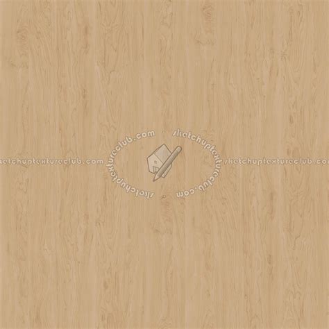 Birch Fine Wood Pbr Texture Seamless