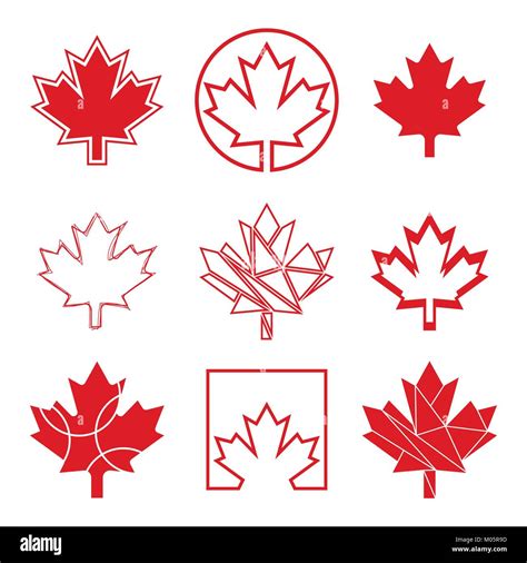 A Set Of Nine Unique Maple Leaf Designs These Custom Canadian Graphics