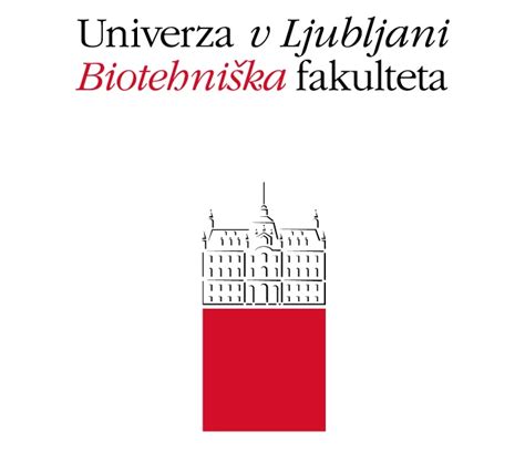 Fakulteta, ki svoje študente izstreli v sam evropski vrh - siol.net