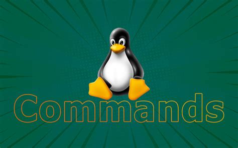 Top 5 Linux Commands for Beginners [With Examples] - ITGiggs