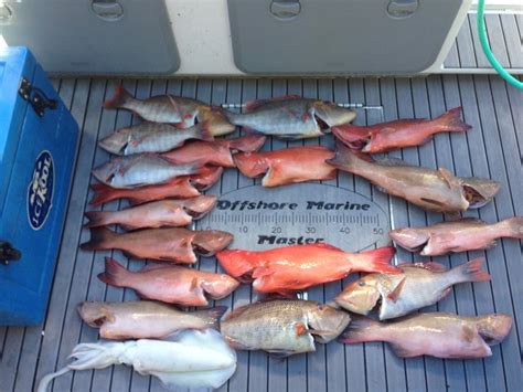 Offshore Marine Master Fishing Pics Browse Now