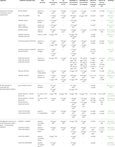 Table 1 From A Tale Of Two Metals Biofortification Of Rice Grains With