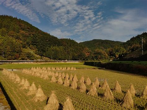 高知県土佐郡土佐町 写真共有サイト「フォト蔵」