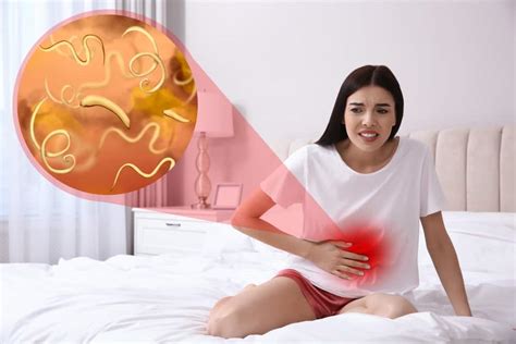 Bao Lâu Uống Thuốc Tẩy Giun Hướng Dẫn Đúng Cách Để Đạt Hiệu Quả Tốt Nhất