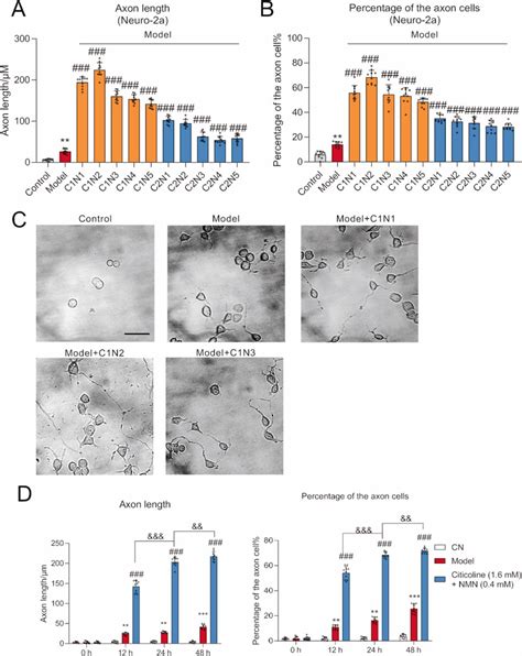 Combination Of Citicoline And NMN Can Synergistically Enhance Neurite