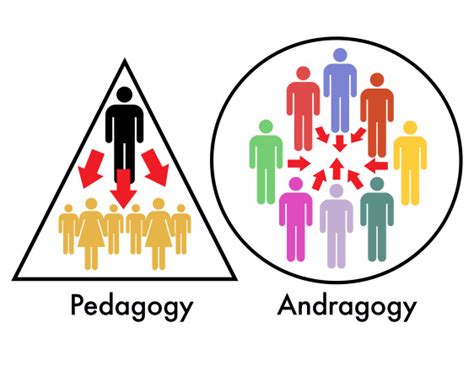 Andragogy What Is It And How It Applies To Adult Learning