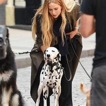 Jennifer Lawrence Nude Leaks Fapopedia