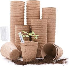 The 8 Best Biodegradable Pots of 2022