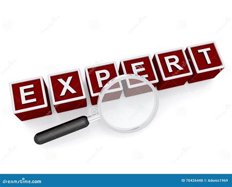 Suchen eines Experten stockfoto. Bild von anhänger, experte - 70426448