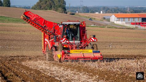 Arrachage De Pomme De Terre 2021 Grimme Varitron 470 Dewulf