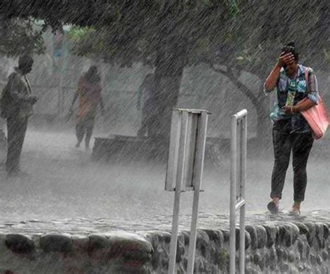 Punjab Weather Update मानसून फिर सक्रिय हुआ आज से झमाझम बारिश की संभवना ...