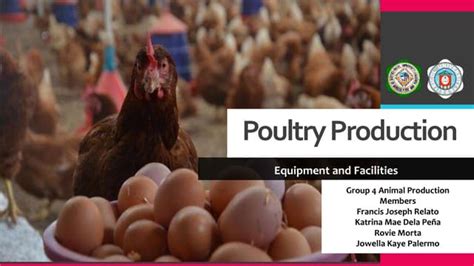 Poultry Production: Equipment and Facilities | PPT