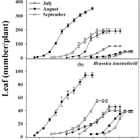 The Effect Of Planting Date On Rapistrum Rugosum And Brassica