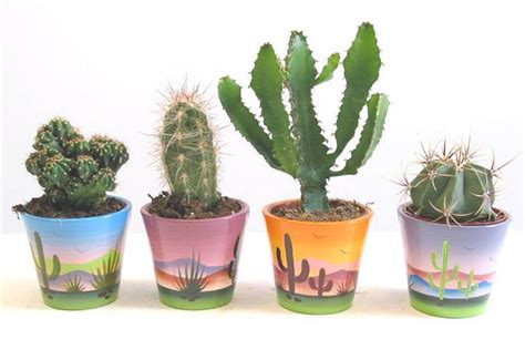 Macetas Decoradas Con Cactus IDEAS Pinterest Cacti