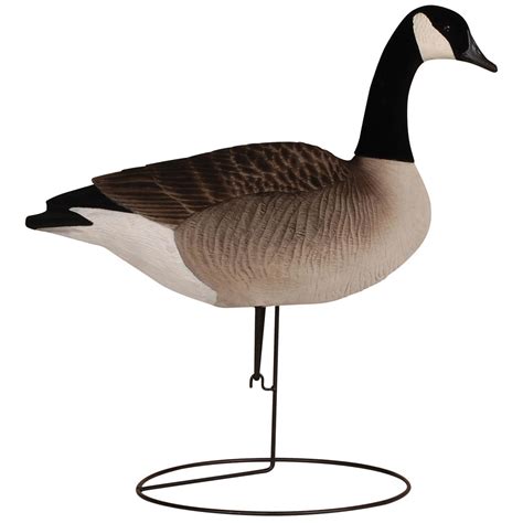 Tanglefree Pro Series Canada Goose Full Body Upright Decoys, 6 Pack