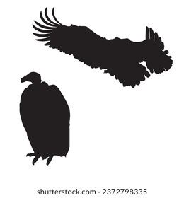 Vector Illustration Vulture Silhouette Stock Vector (Royalty Free ...