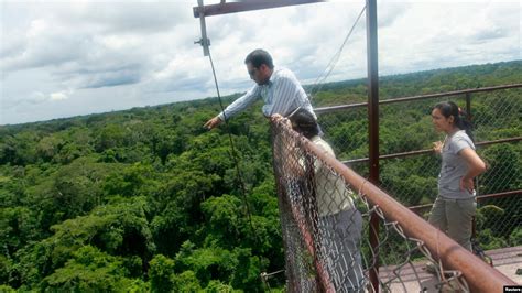 Study: Amazon Forest More Resilient to Climate Change Than Feared