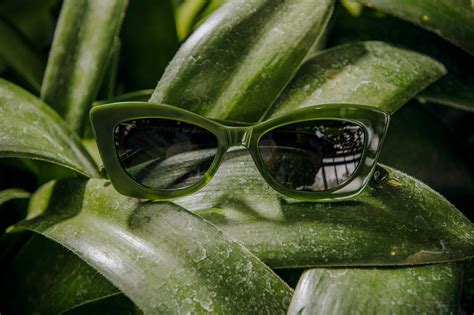 Botaniq Launch Eyewear Collection Campaign | Work | Our Own Brand