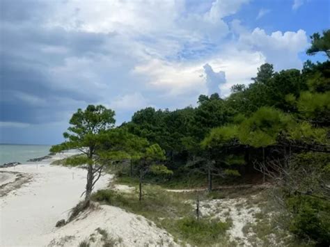 Best Hikes And Trails In Kiptopeke State Park AllTrails