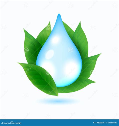 Drop Of Water And Green Leaves Stock Vector Illustration Of Concept