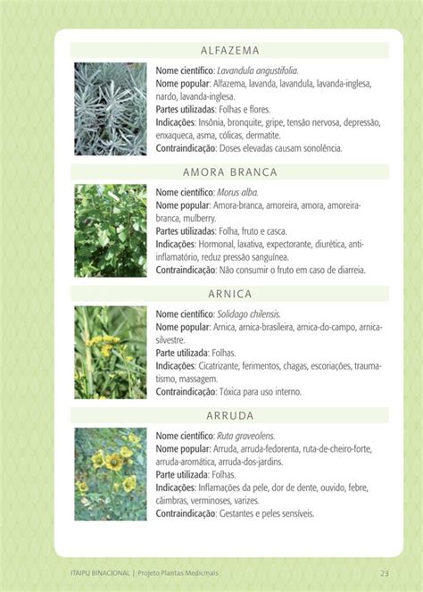 Cartilha Projeto Plantas Medicinais PDF