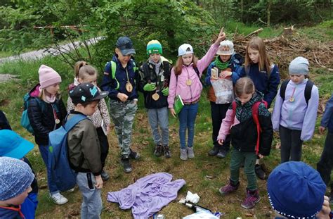 Waldjugendspiele Was Sch Ler Dem Wald Schenken Ilmenau Ins Dth Ringen