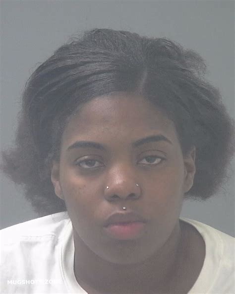 Kirkland Briana Joyce Santa Rosa County Mugshots Zone