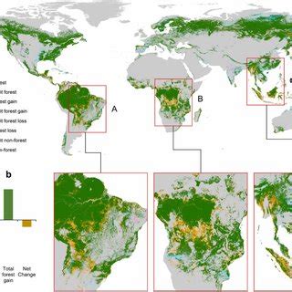 Global Forest Loss And Gain Across Decades From To A Map