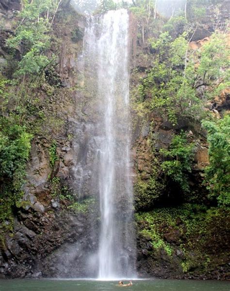 Wailua River Kayak And Hike To Secret Falls The Hawaii Vacation Guide