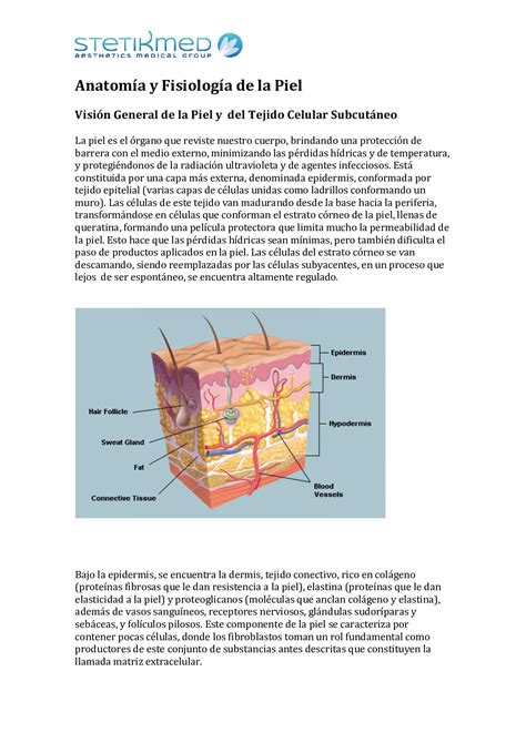 Calam O Anatomia Y Fisiologia De La Piel