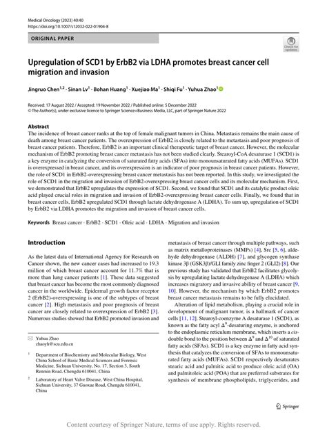 Upregulation Of SCD1 By ErbB2 Via LDHA Promotes Breast Cancer Cell