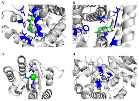 Ijms Free Full Text Proteins And Their Interacting Partners An