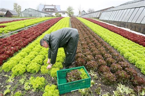 Diversidad Agr Cola Una Soluci N Para Alcanzar La Seguridad Alimentaria