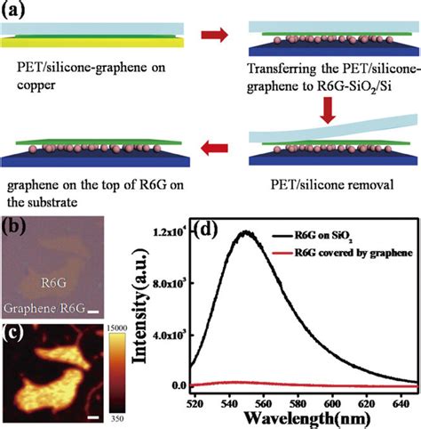 A Schematic Of The Dry Transfer Of CVD Grown Graphene Onto