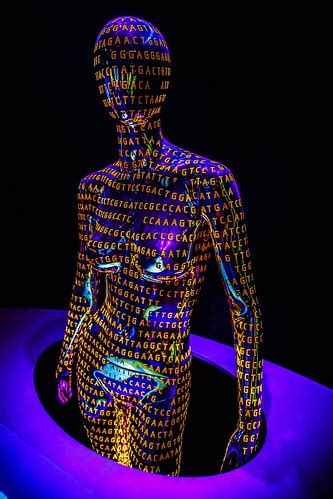 human genome human genome project smithsonian national  flickr