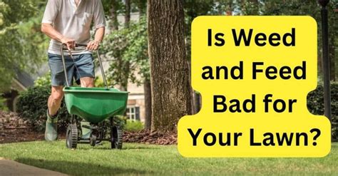 Is Weed And Feed Bad For Your Lawn