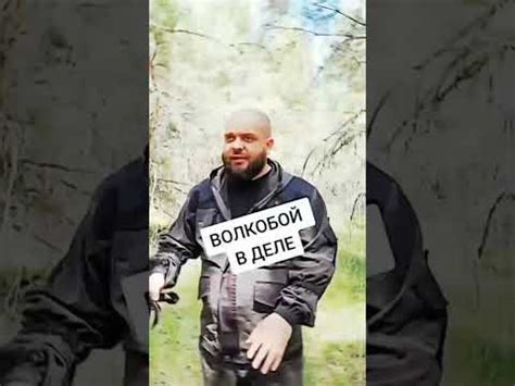 #выживалово #волкобой - YouTube